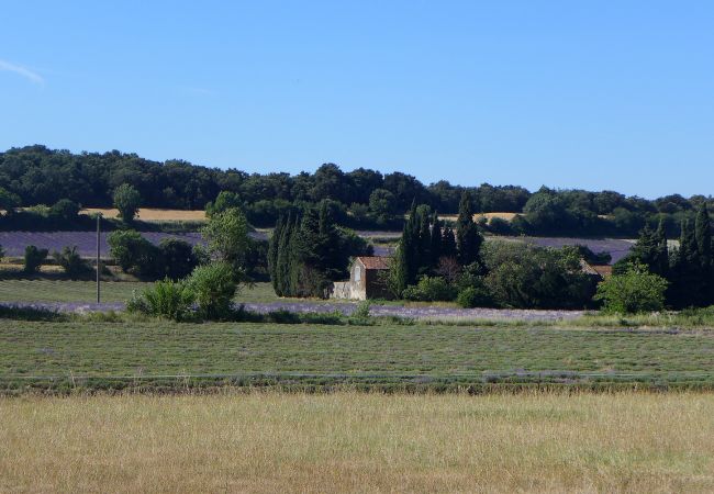 Landhaus in Clansayes - Le Lavandin, gelegenes Ferienhaus mit Pool in der Drôme Provençale