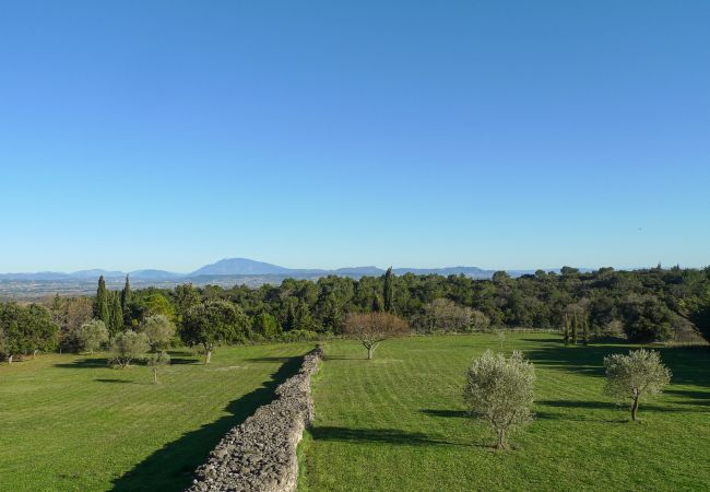Ferienhaus in Saint-Restitut - Le Mas de Marie, in Drôme Provençale, eine 100% natürliche Klammer Ferienhaus in Saint-Restitut - Le Mas de Marie, in Drôme Provençale, eine 100% natürliche Klammer