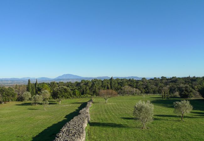 Ferienhaus in Saint-Restitut - Le Mas de Marie, in Drôme Provençale, eine 100% natürliche Klammer