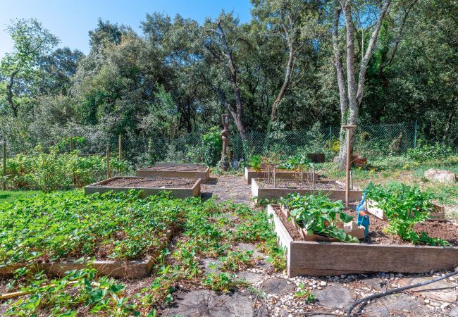 Ferienhaus in Colonzelle - Charmantes Haus, beheiztes Schwimmbad, gesichert, in der Nähe von Grignan Ferienhaus in Colonzelle - Charmantes Haus, beheiztes Schwimmbad, gesichert, in der Nähe von Grignan