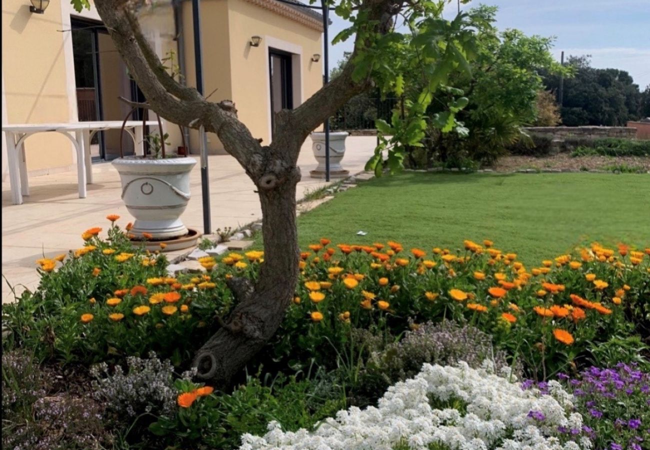 Villa in Saint-Restitut - Klimatisierte Villa mit privatem Pool – Rollstuhlgerecht – Drôme Provençale