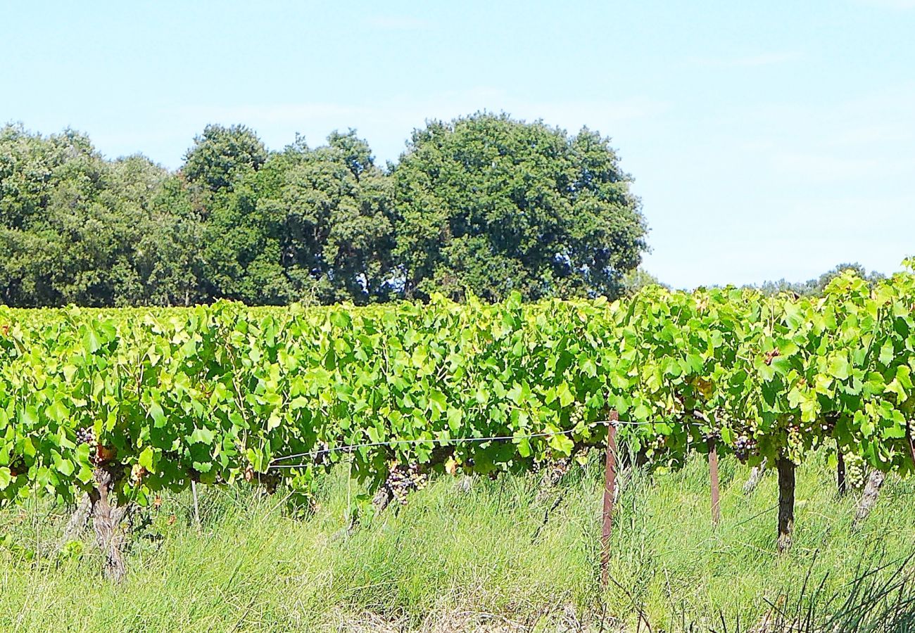 Huis in Rochegude - Boerderij te huur, privé zwembad, petanquebaan