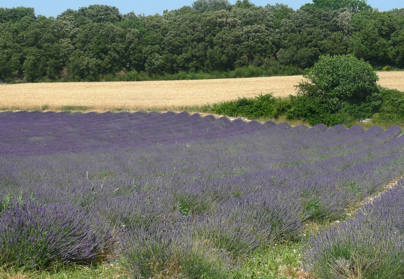 Cottage in Clansayes - Le Lavandin, in een rustige omgeving van Drôme Provençale met zwembad