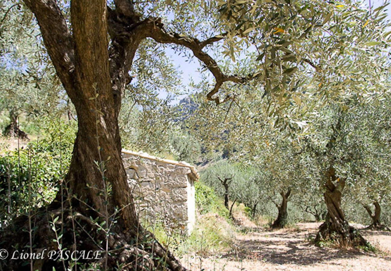 Huis in Rousset-les-Vignes - Meerhuis met privé zwembad, in Drôme Provençale