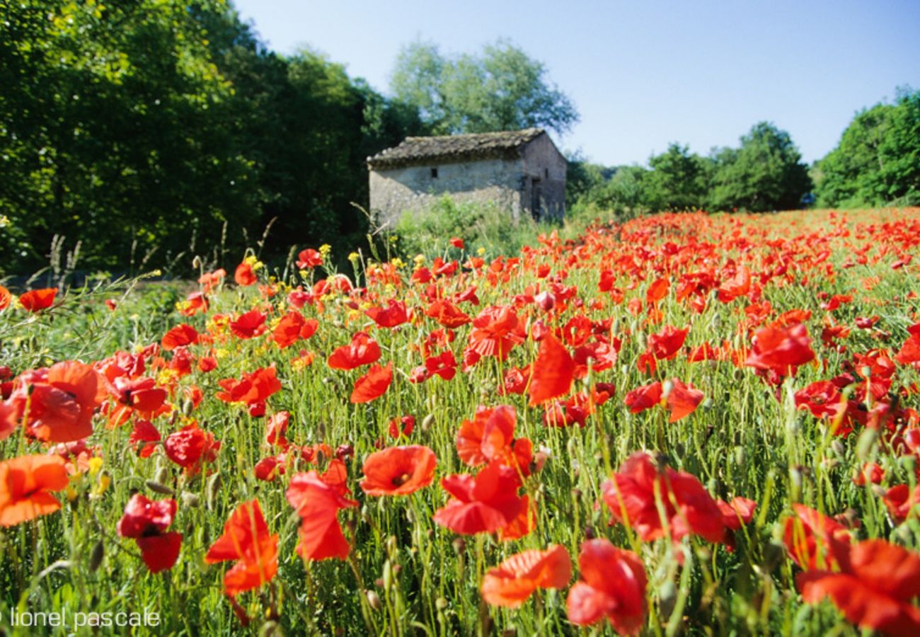 Huis in Bouchet - Dorpsboerderij, omheinde tuin en privé zwembad 