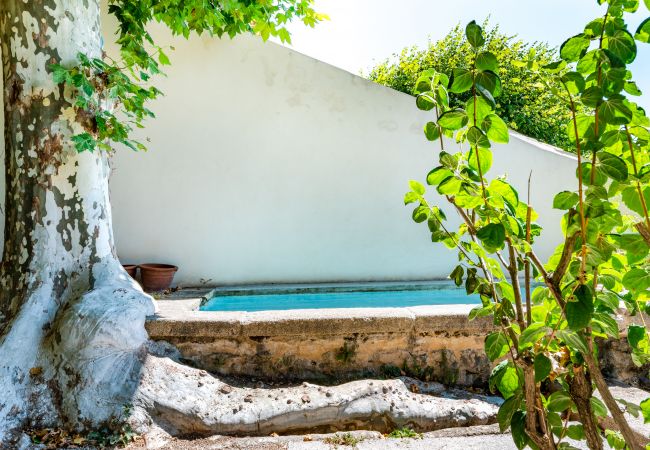 Huis in Sérignan-du-Comtat - Provençaals huis met binnenplaats en vijver - Provence Huis in Sérignan-du-Comtat - Provençaals huis met binnenplaats en vijver - Provence