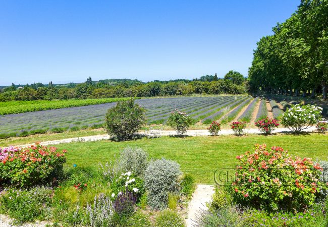 Cottage in Valréas -  Cottage in Valréas -
