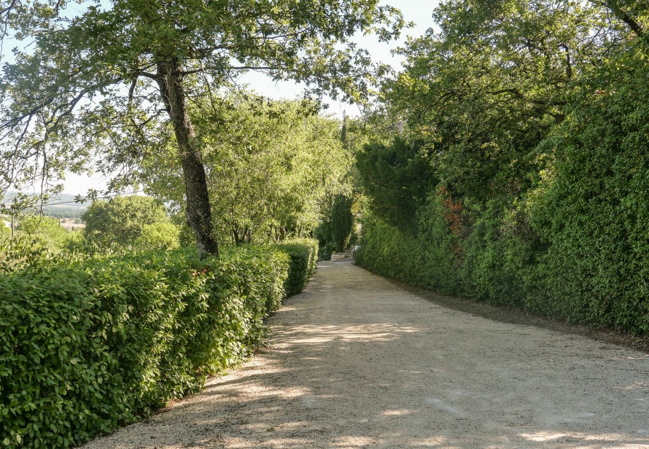 Huis in Saint-Paul-Trois-Châteaux - het kleine huis op de colline,zwembad en petanquebaan 