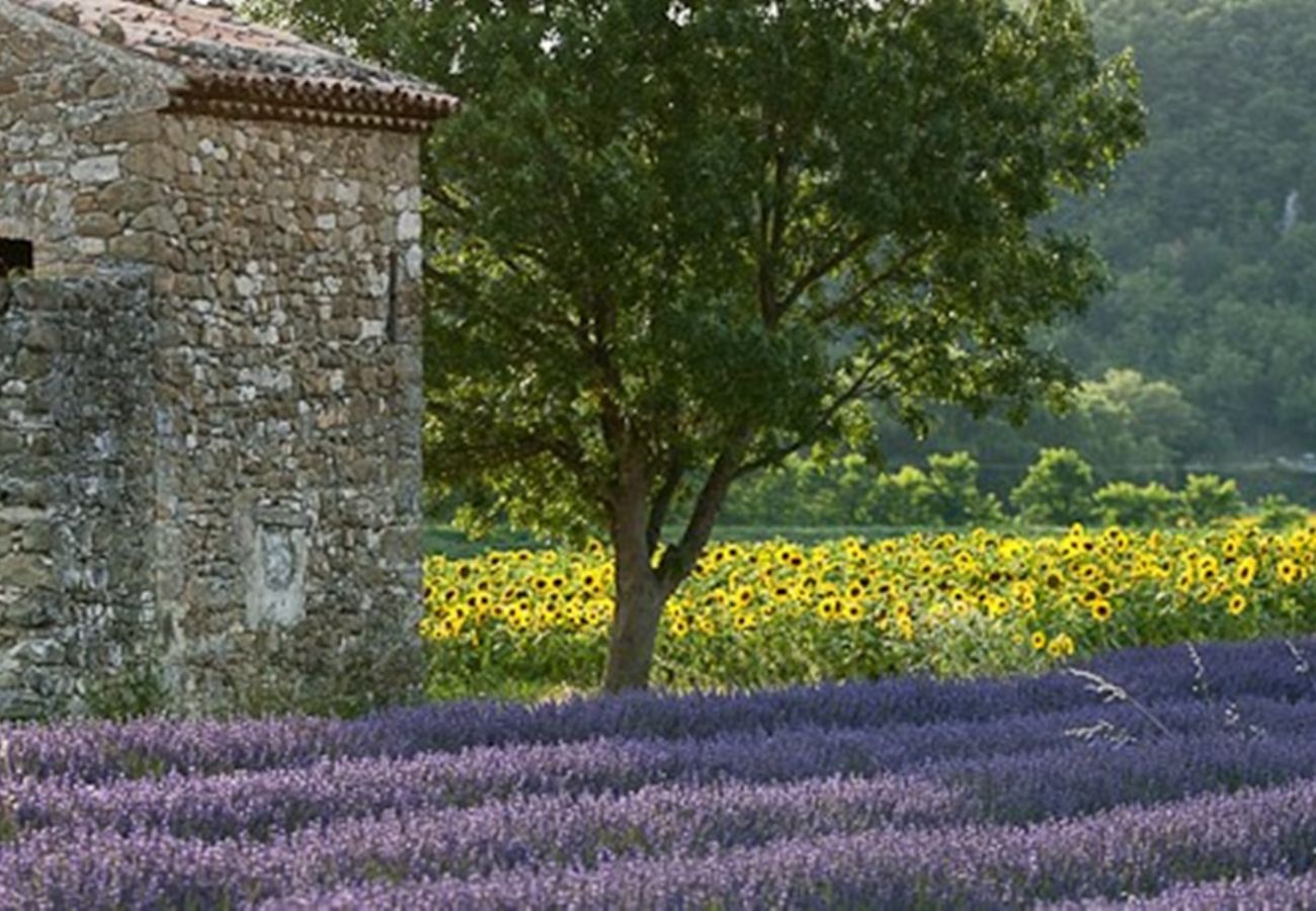 House in Rousset-les-Vignes - Lake house with private pool, in Drôme Provençale