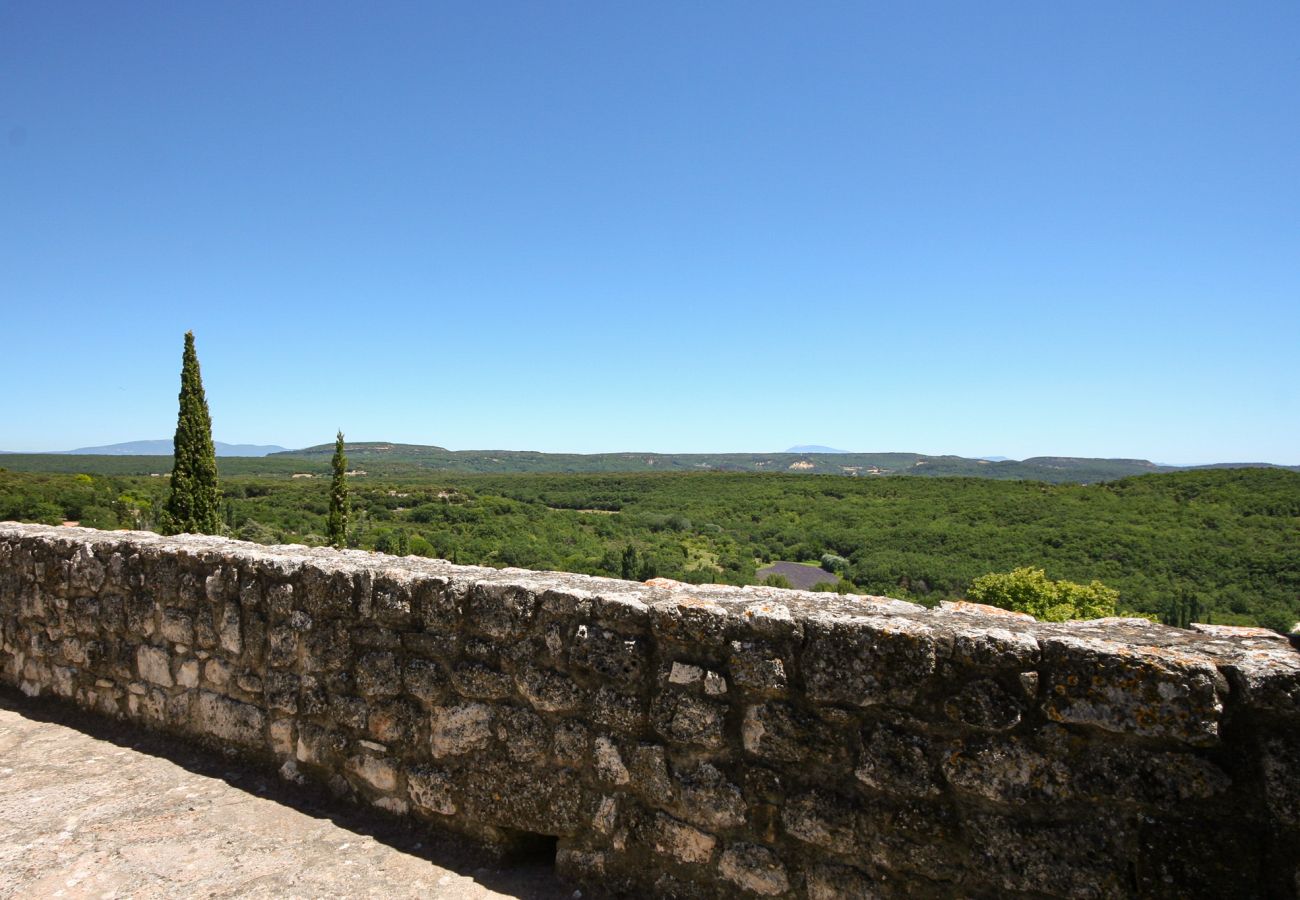 House in La Garde-Adhémar - House in listed village with garden and jacuzzi