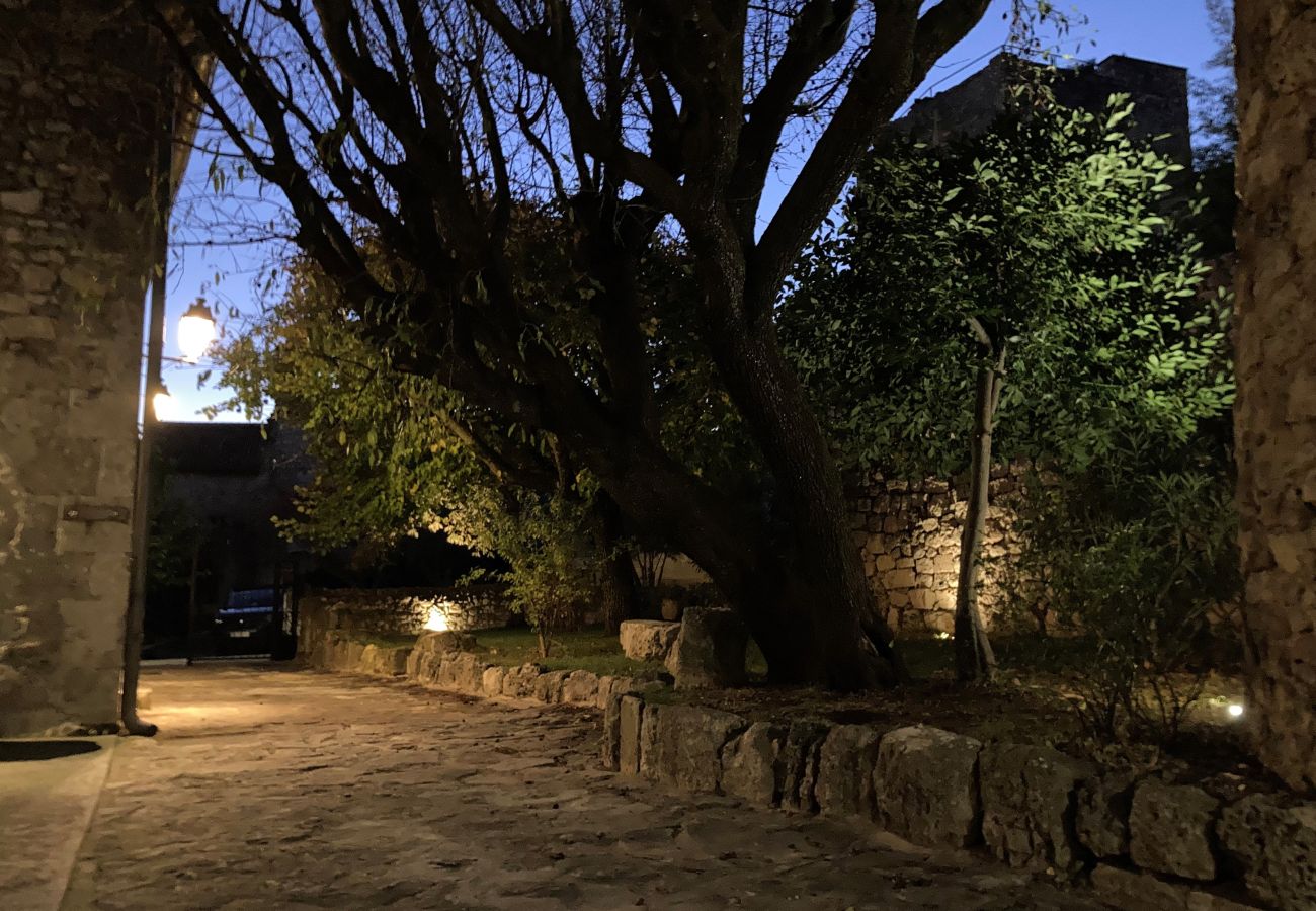 House in La Garde-Adhémar - House in listed village with garden and jacuzzi