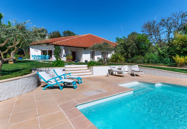 House in Colonzelle - Family house with garden, pool & nature - Colonzelle House in Colonzelle - Family house with garden, pool & nature - Colonzelle