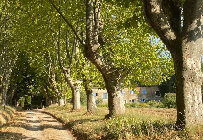 Cottage in Valréas -  Cottage in Valréas -