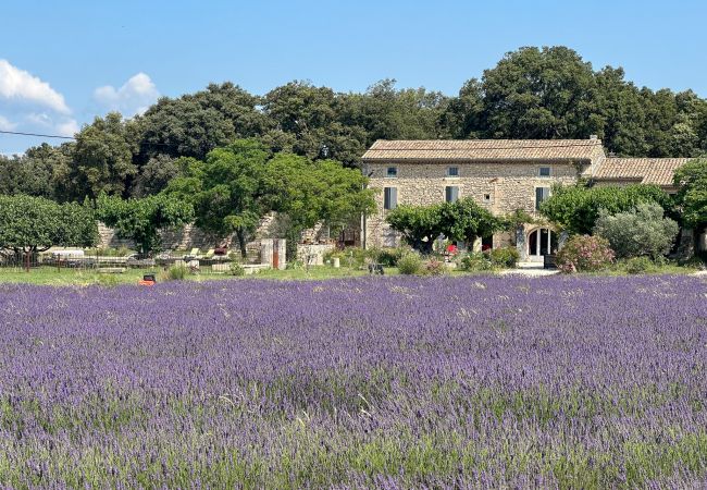 House in Clansayes - Mas des lavandes House in Clansayes - Mas des lavandes