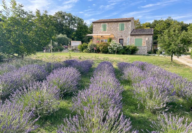 House in Salles-sous-Bois - la maison de Joséphine, vue ventoux, piscine