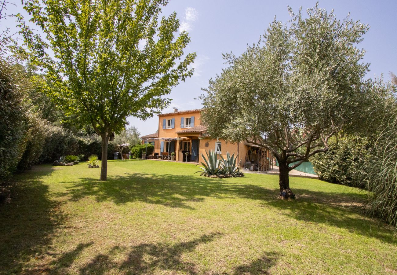 House in Saint-Paul-Trois-Châteaux -  Villa 