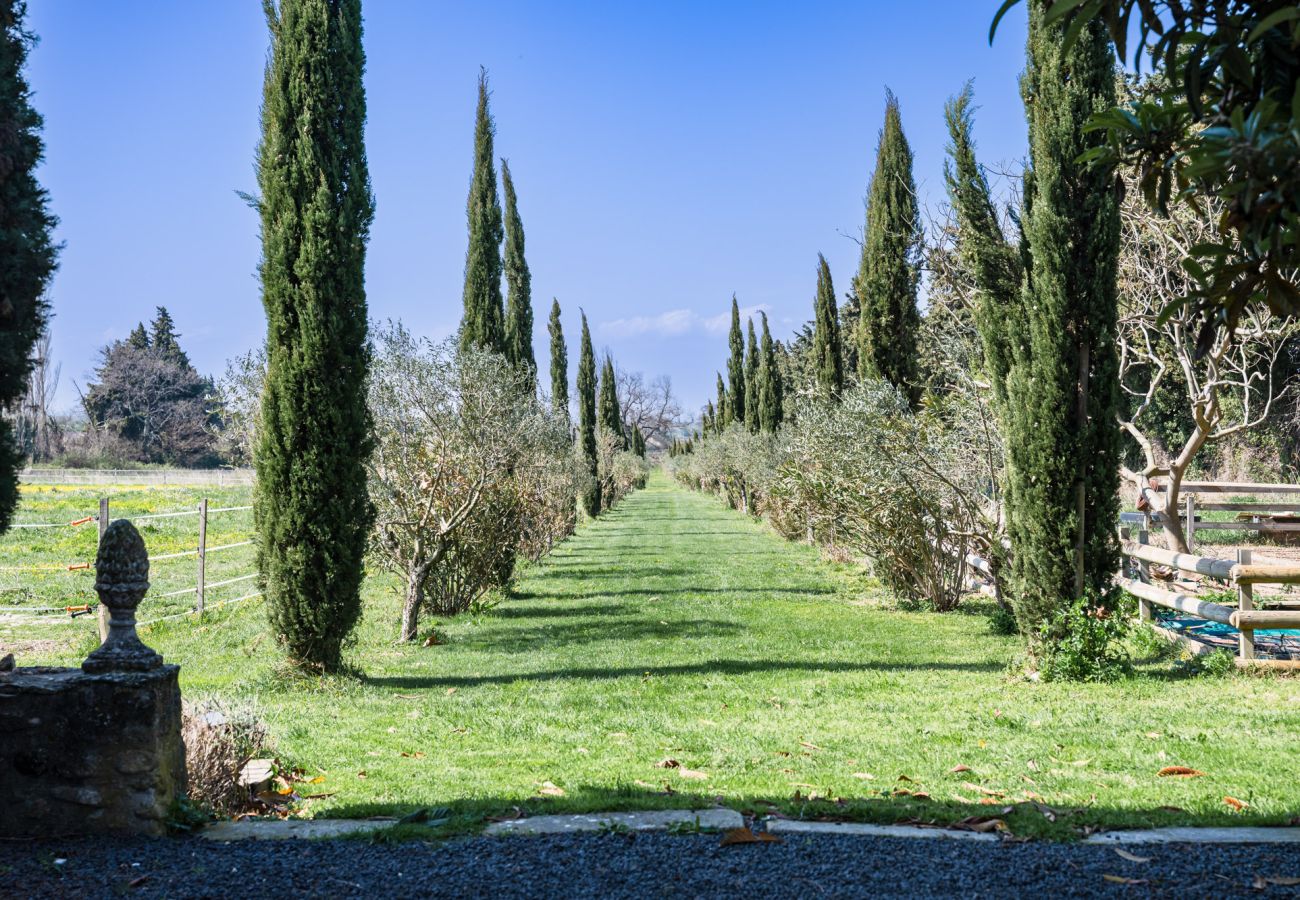 House in Tulette - La Mancelone, exceptional property to rent, with heated swimming pool