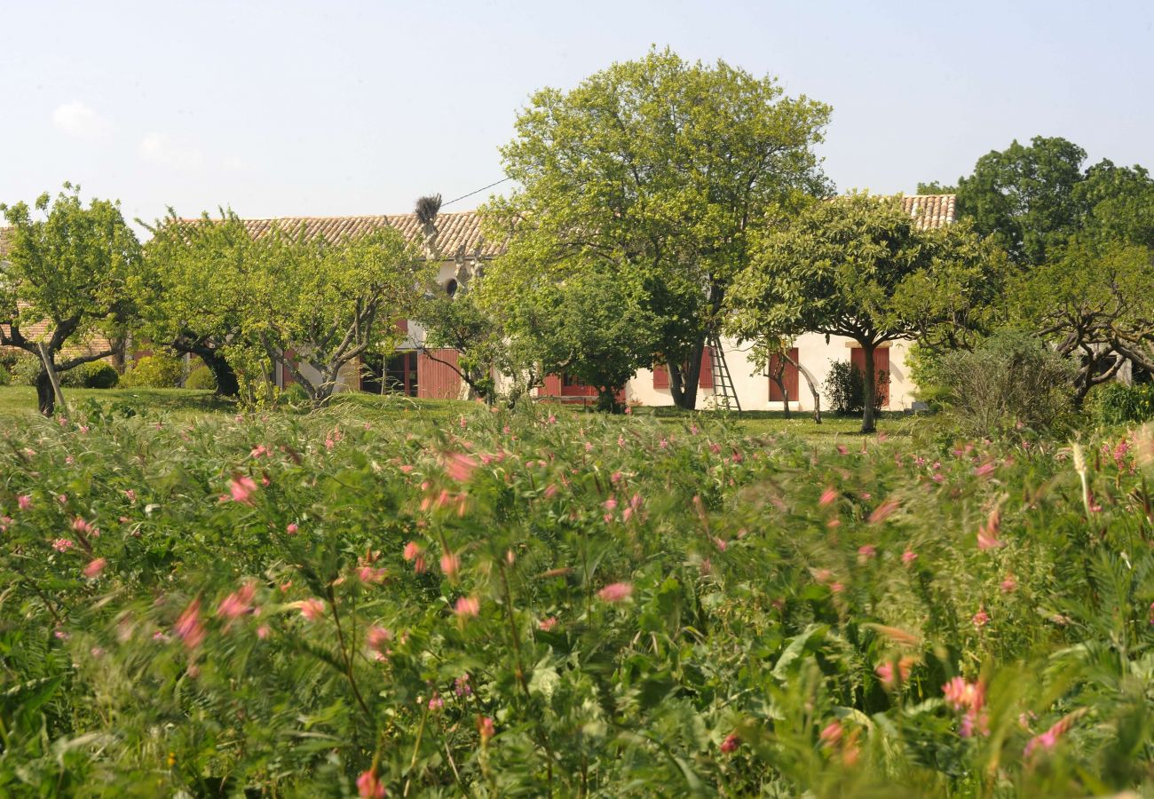 Maison à Rochegude - Mas à louer, piscine privée, terrain de pétanque