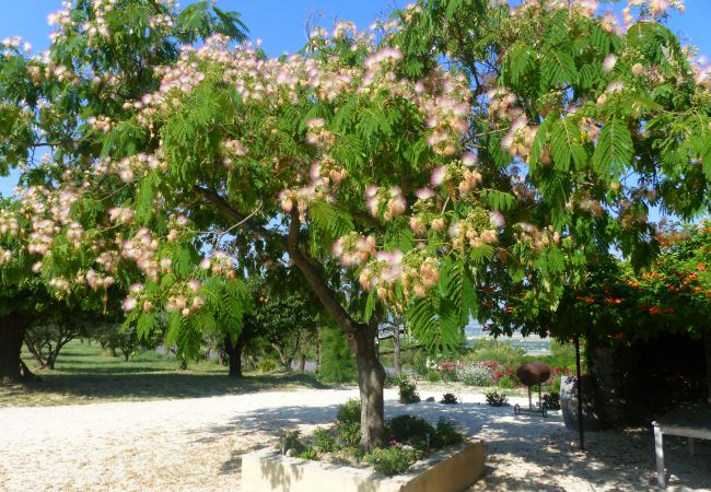 Maison à La Garde-Adhémar - Le Mas des Rochettes, piscine privée, au calme, La Garde Adhémar Maison à La Garde-Adhémar - Le Mas des Rochettes, piscine privée, au calme, La Garde Adhémar