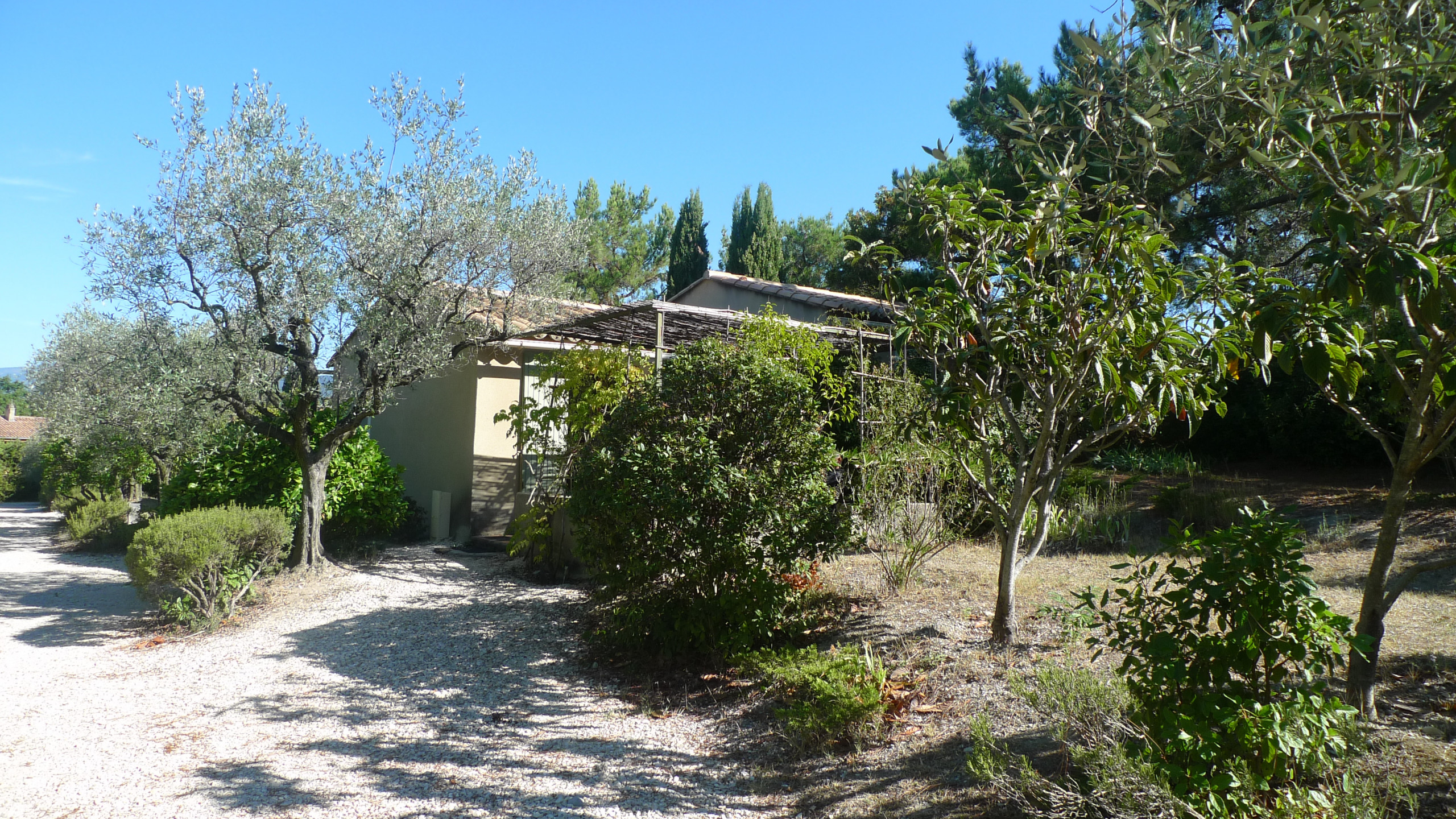 Mazet NEFLIER au Mirabel-aux-Baronnies