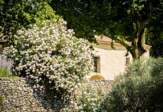 Maison à Saint-Restitut - 13- Mas Provençal avec vue dégagée sur le Ventoux Maison à Saint-Restitut - 13- Mas Provençal avec vue dégagée sur le Ventoux