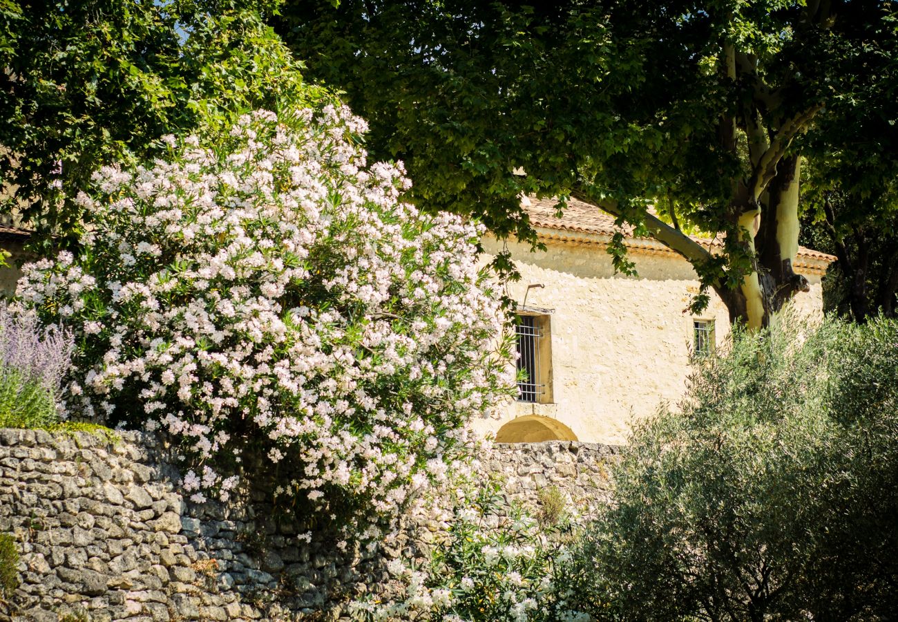 Maison à Saint-Restitut - 13- Mas Provençal avec vue dégagée sur le Ventoux Maison à Saint-Restitut - 13- Mas Provençal avec vue dégagée sur le Ventoux