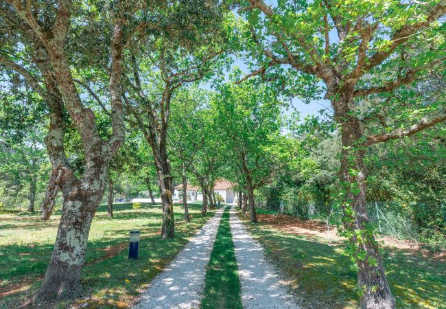 Maison à Colonzelle - Maison familiale avec jardin, piscine & nature – Colonzelle Maison à Colonzelle - Maison familiale avec jardin, piscine & nature – Colonzelle