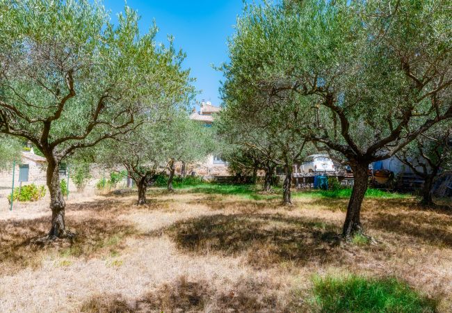 Maison à Sérignan-du-Comtat - Maison provençale avec cour & bassin - Provence  Maison à Sérignan-du-Comtat - Maison provençale avec cour & bassin - Provence