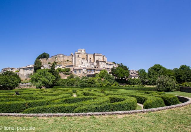 Villa à Valréas - Le Cloître des Oliviers, maison au coeur du village avec jardin