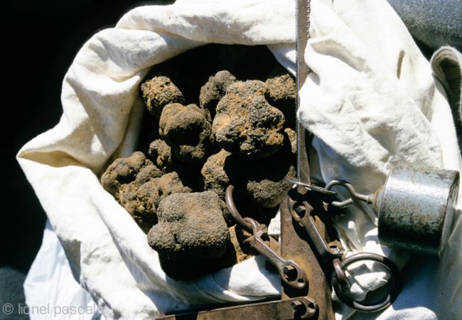 Villa à Suze-la-Rousse - Villa neuve avec piscine privée au coeur du village - 4 pers. Villa à Suze-la-Rousse - Villa neuve avec piscine privée au coeur du village - 4 pers.