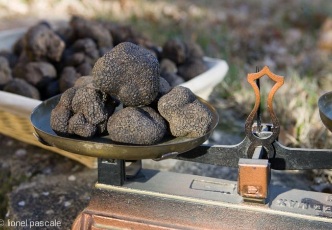 Villa à Suze-la-Rousse - Syrah Villa neuve avec piscine privée au coeur du village - 4 pers. Villa à Suze-la-Rousse - Syrah Villa neuve avec piscine privée au coeur du village - 4 pers.